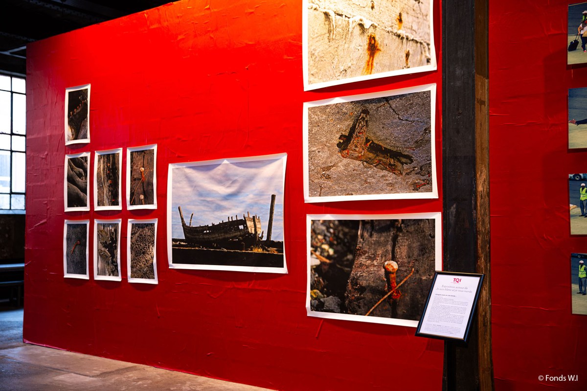 Mémoire et questionnement